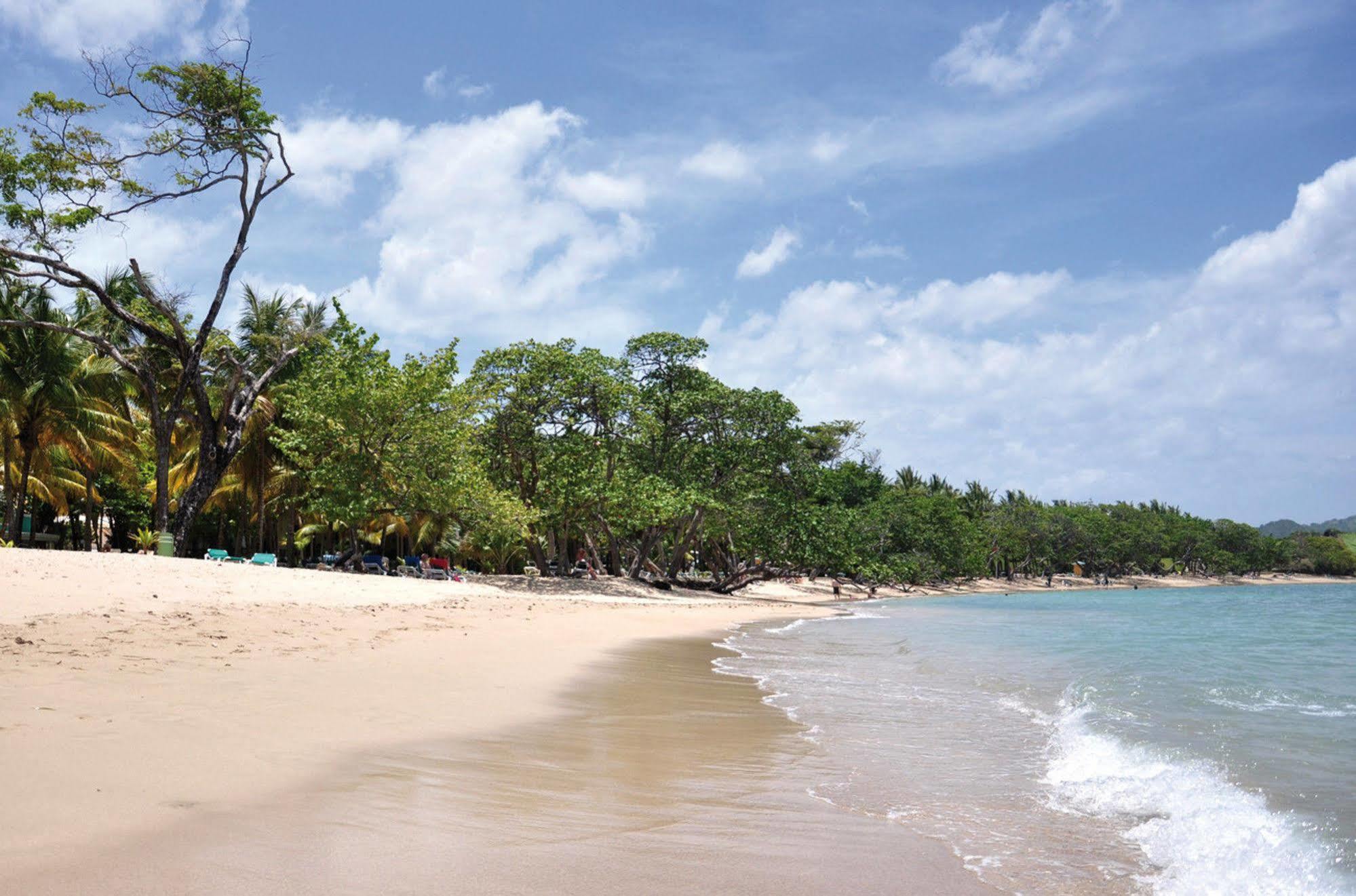 Hotel Senator Puerto Plata Vip Extérieur photo